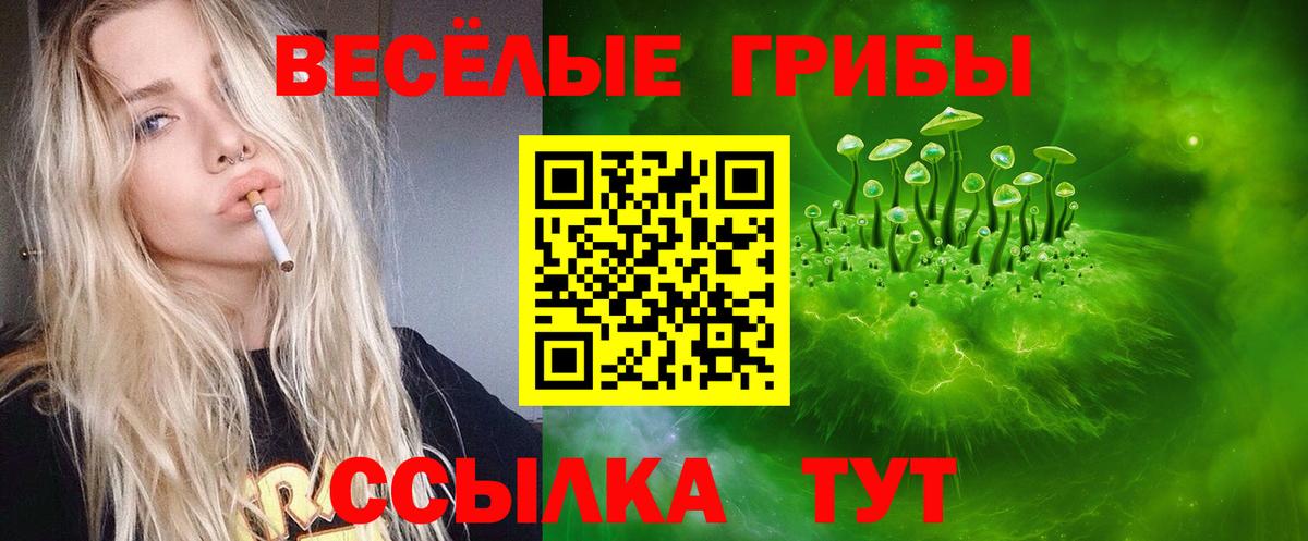 Калининград  купить наркоту  Вход с VPN  Псилоцибиновые грибы ЛСД 